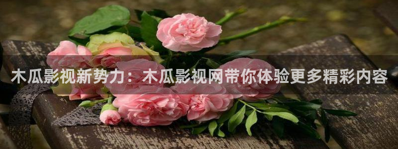 紅葉影院免費(fèi)觀看電視劇：木瓜影視新勢(shì)力：木瓜影視網(wǎng)帶你體驗(yàn)更多精彩內(nèi)容