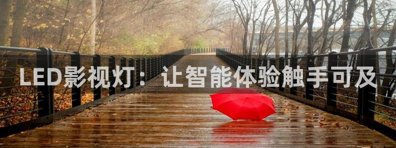 電影紅葉：LED影視燈：讓智能體驗(yàn)觸手可及